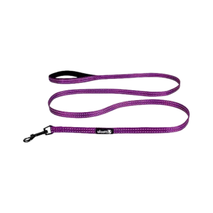 Alcott Adventure Leash Purple