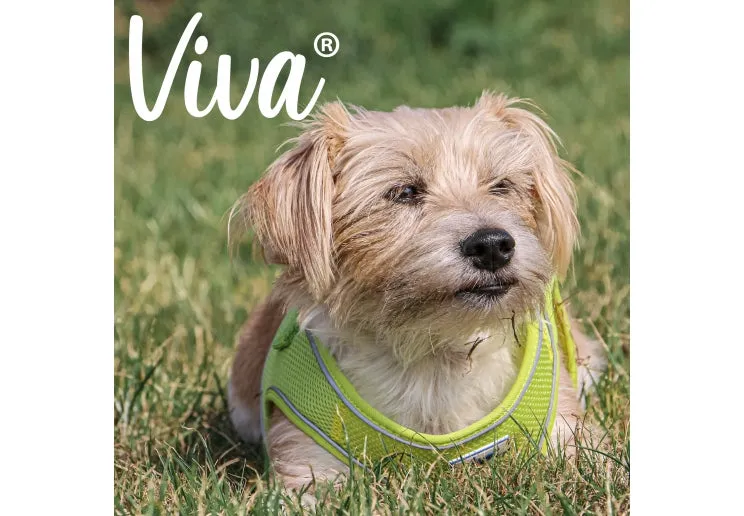 Ancol - Viva Step-in Harness - Lime - Small