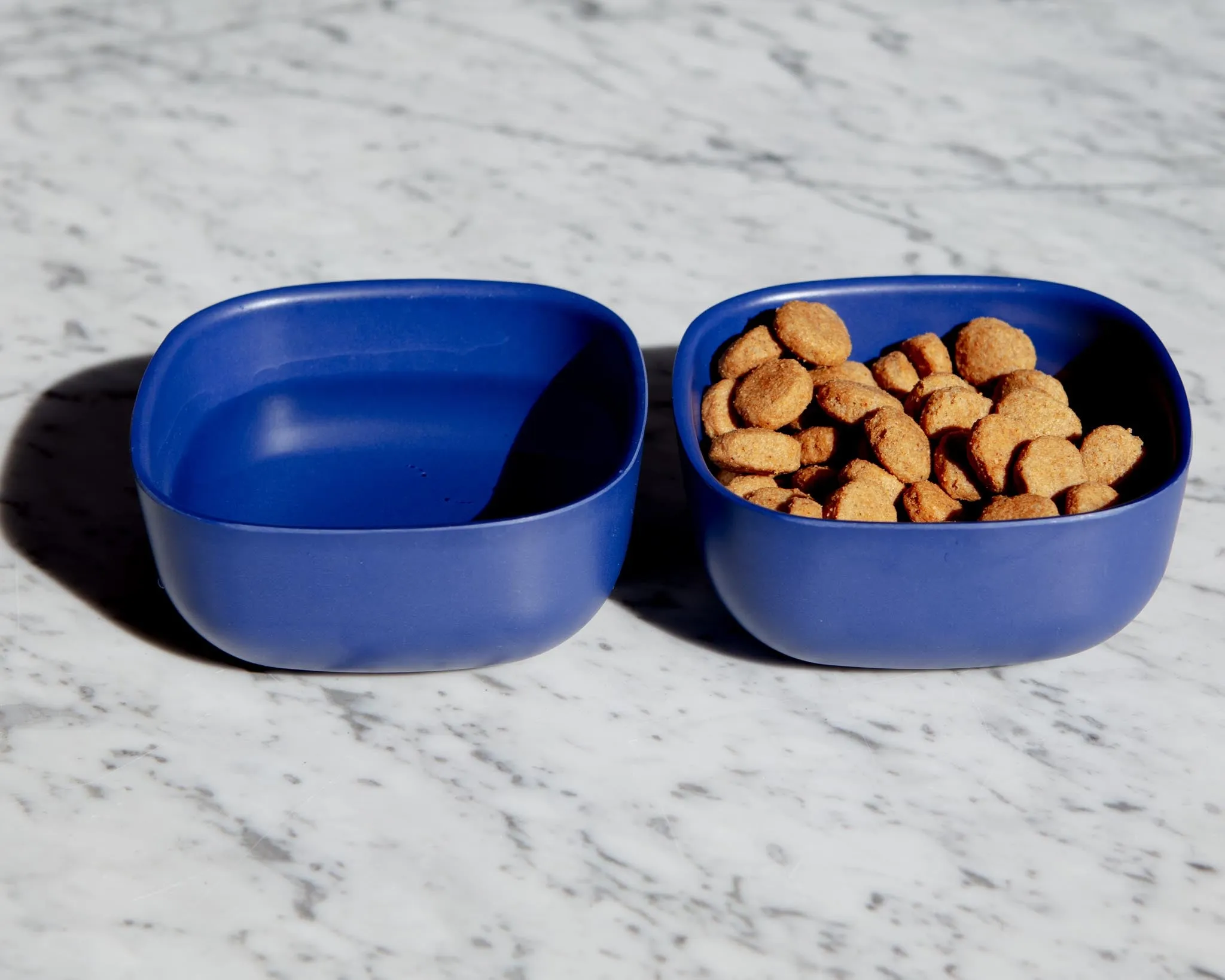 Biobu Gusto Dog Bowl in Royal Blue (FINAL SALE)