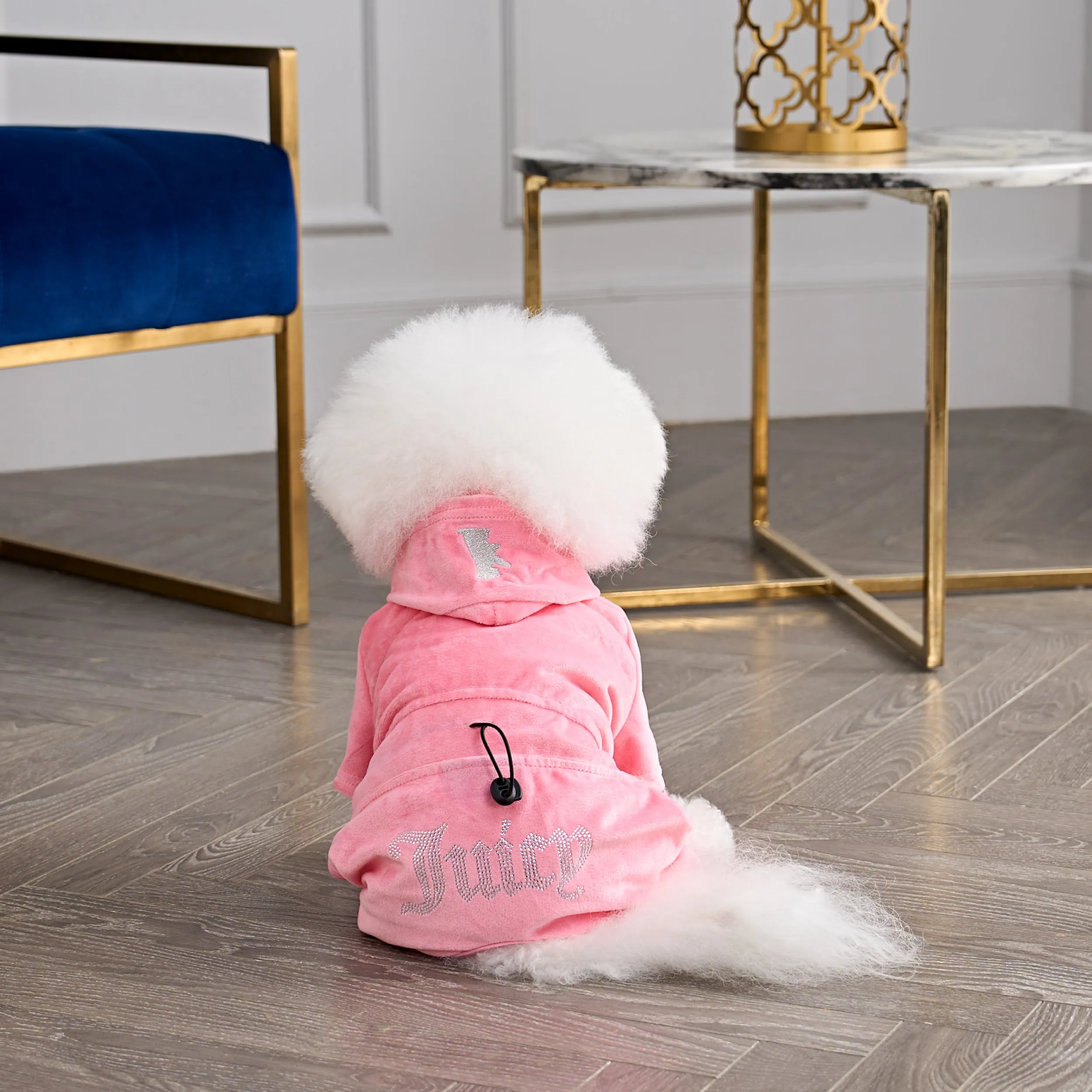 Bling Velour Pet Tracksuit