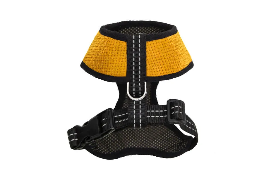 Bowl and Bone Candy Yellow Dog Harness