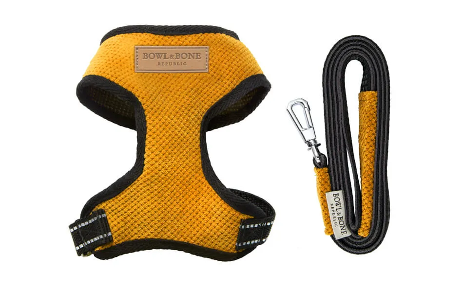 Bowl and Bone Candy Yellow Dog Harness