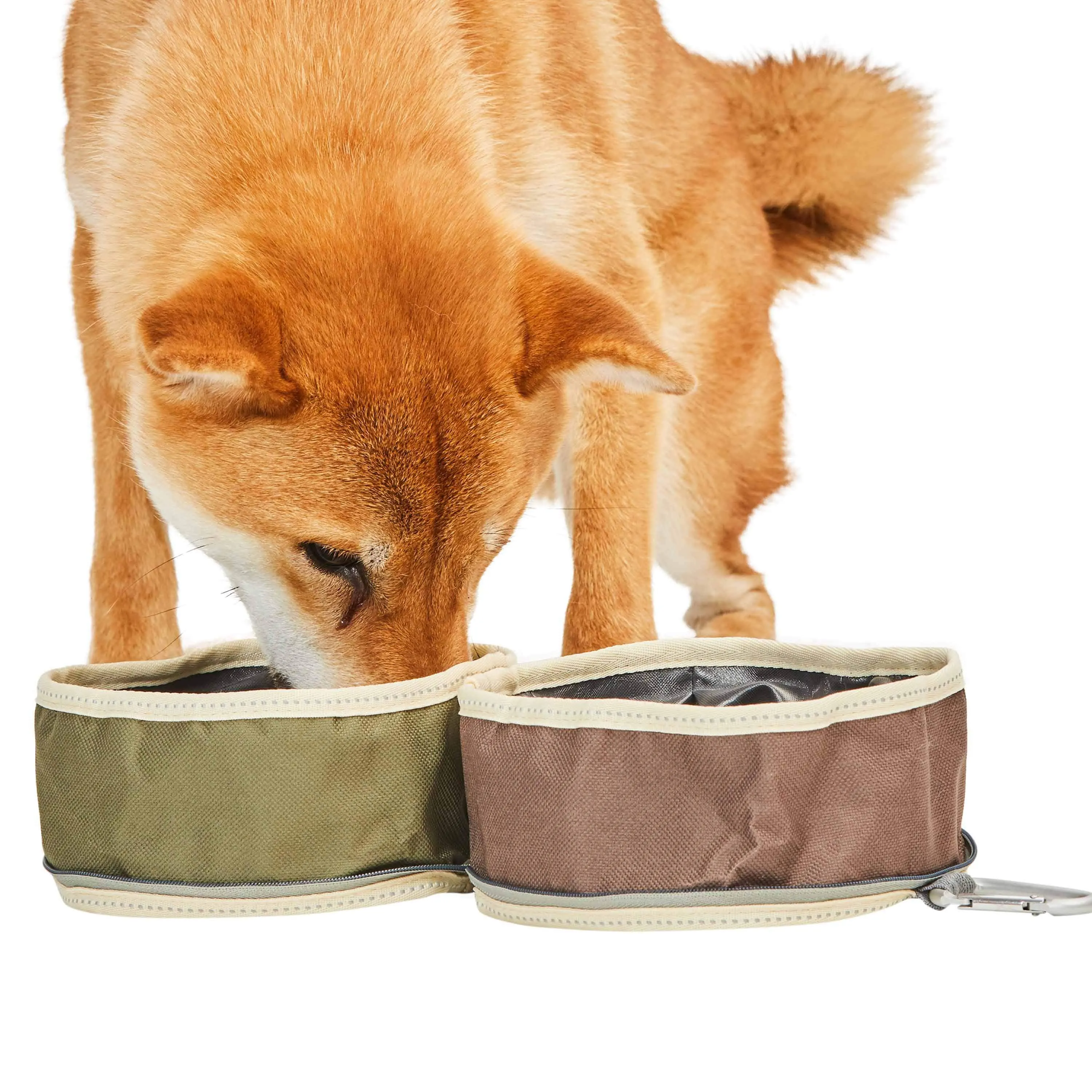 Collapsible Dog Travel Bowl