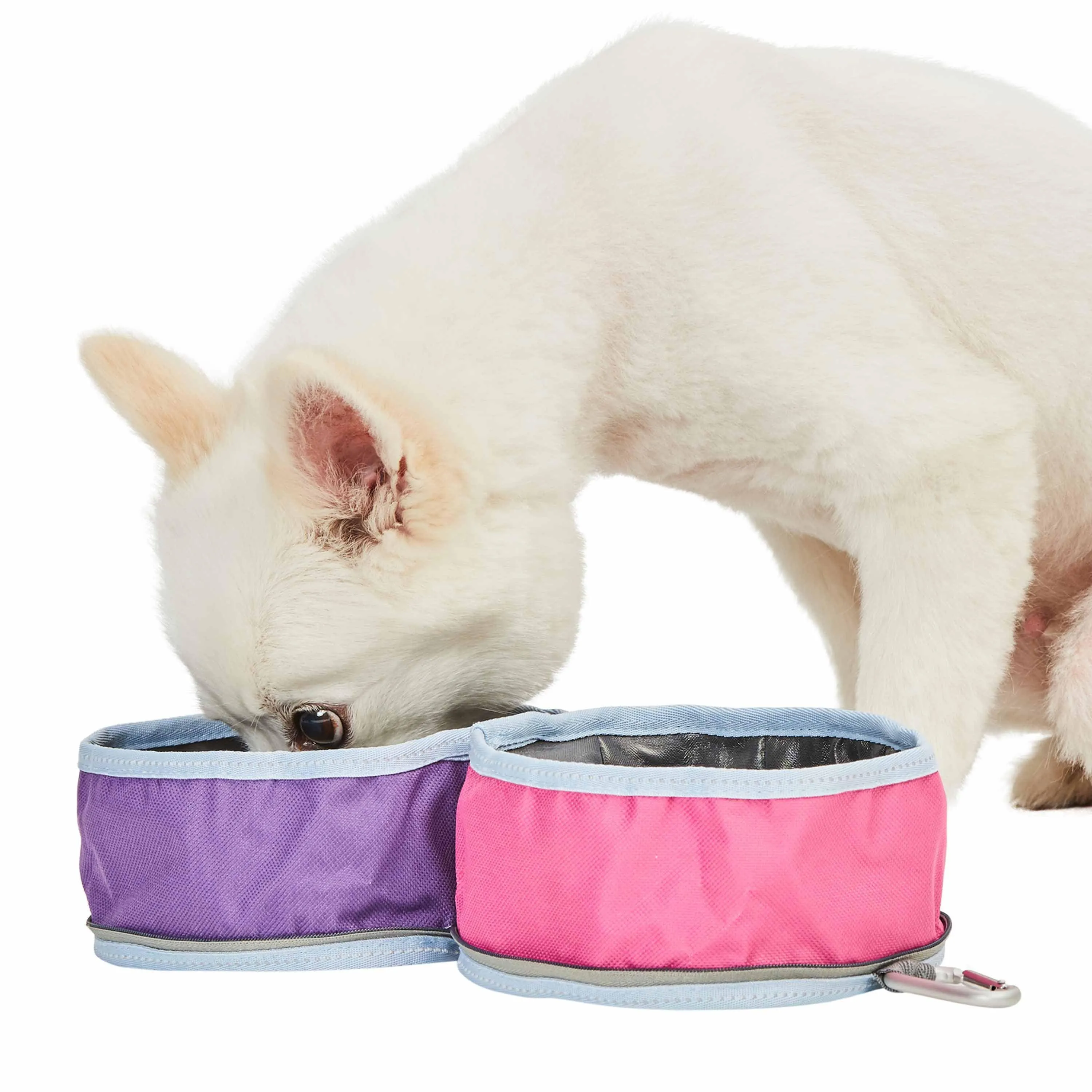 Collapsible Dog Travel Bowl