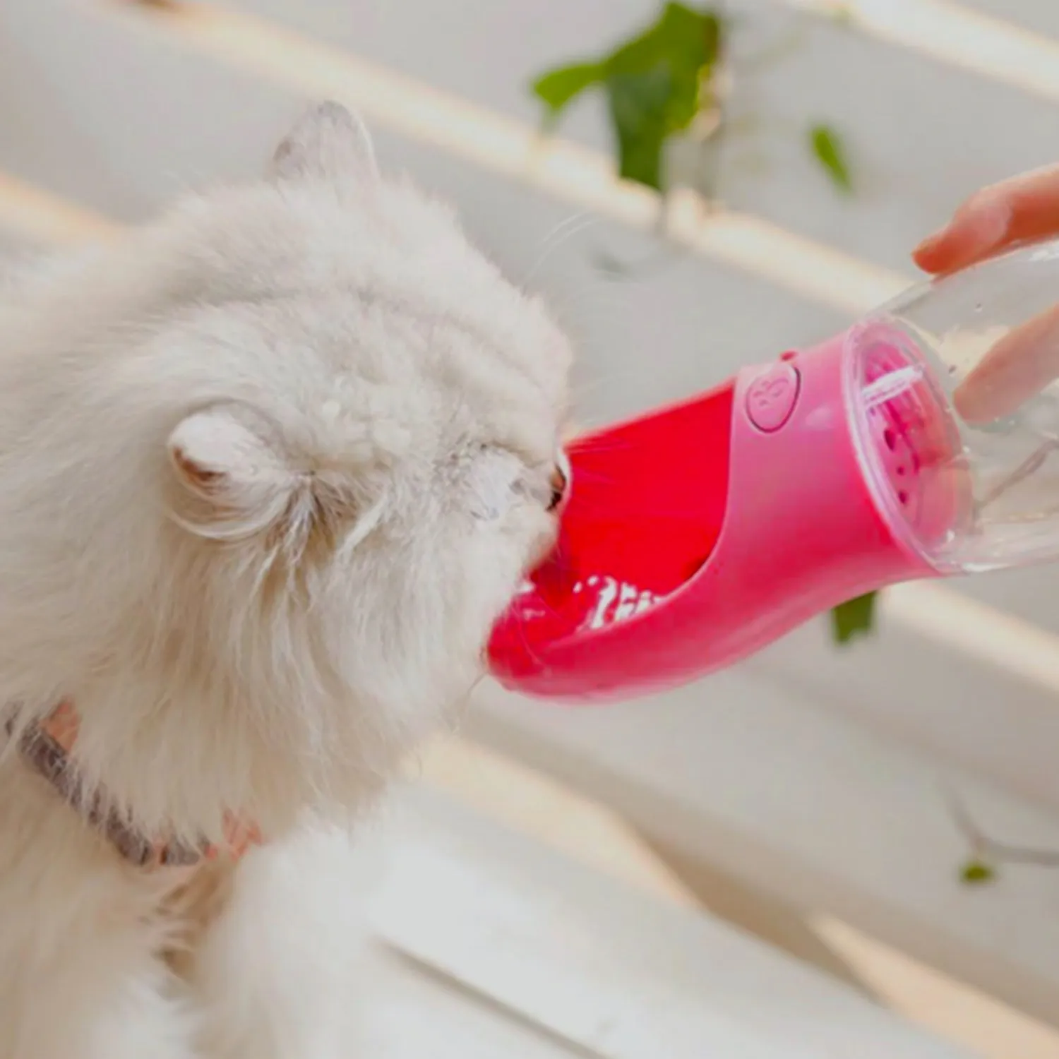 Delightful Portable Pet Water Bowl for Traveling