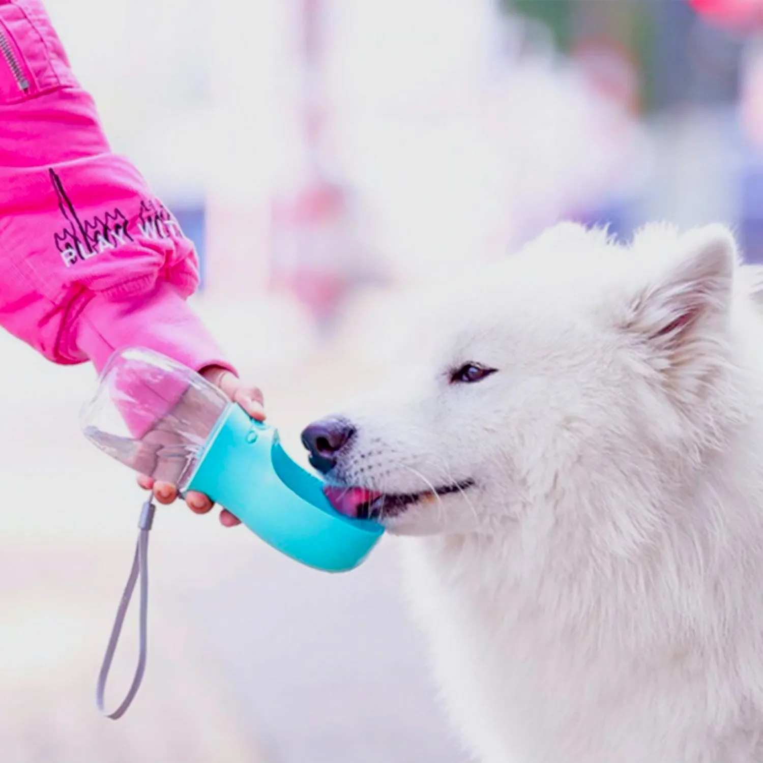 Delightful Portable Pet Water Bowl for Traveling