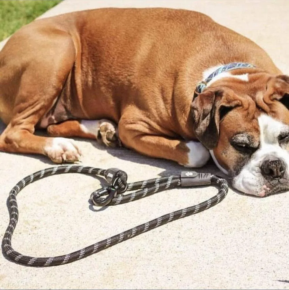 DOCO® 5ft Reflective Rope Dog Leash w/ Click & Lock Snap (3/8" Width x 5ft)