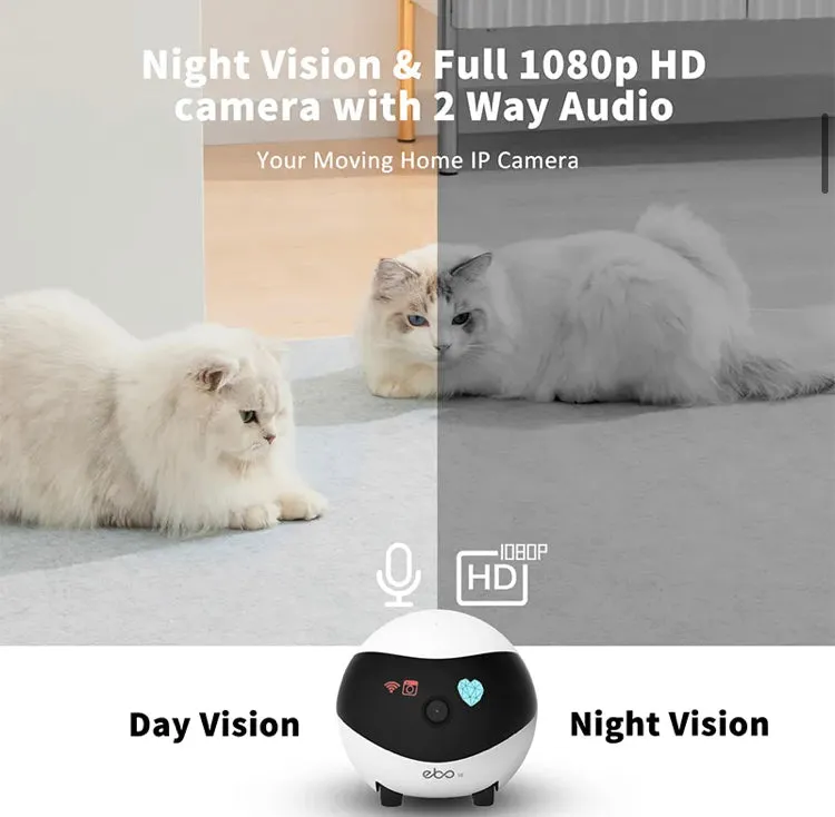 EBO Auto Cruise Pet Interactive IP Camera Video Monitor