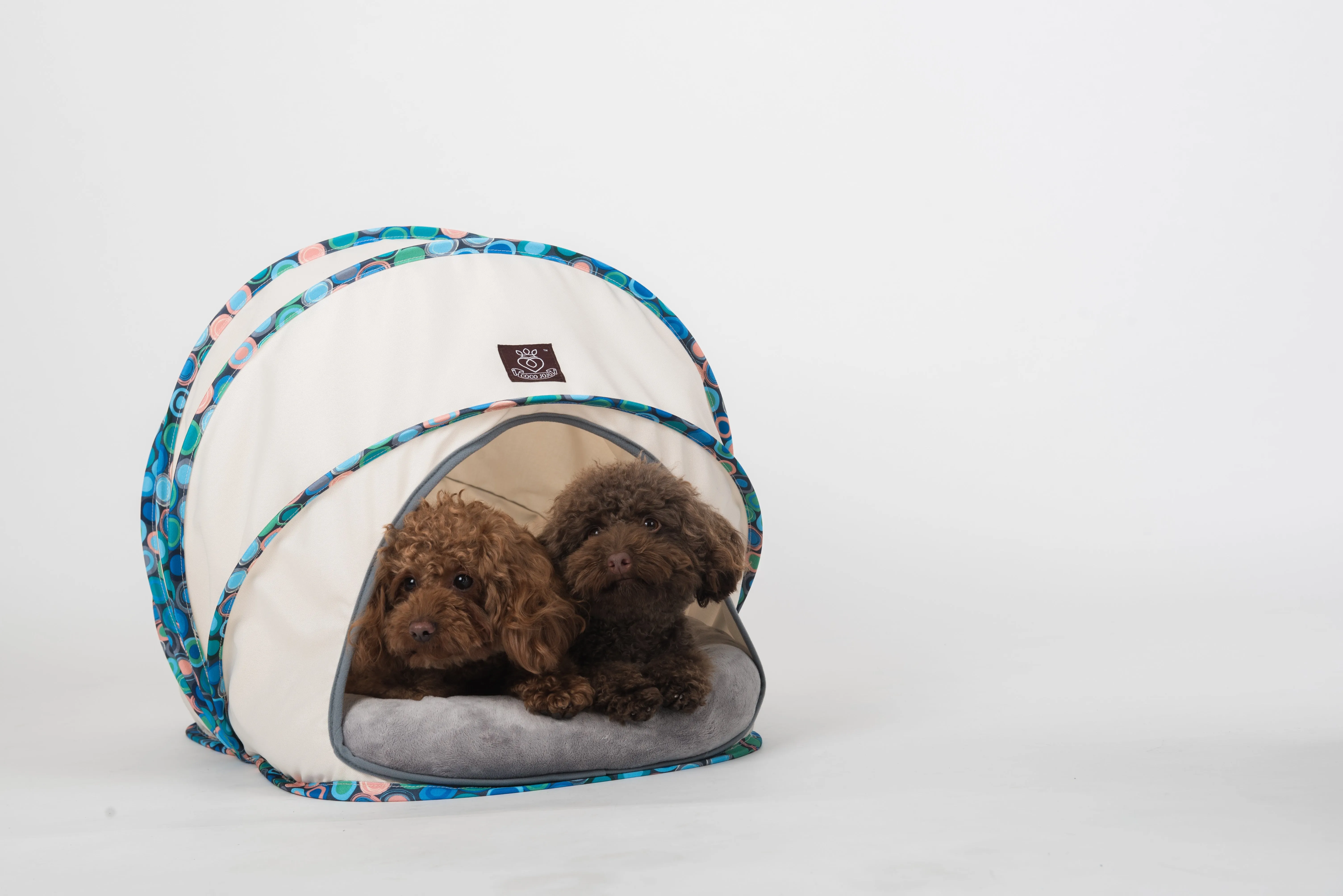 Foldable / Pop Up Cocoon Cave for Dogs, Cats and Companion Animals with Removable Cushion and Convenient Travel Carry Bag, Dog and Cat House with Bed