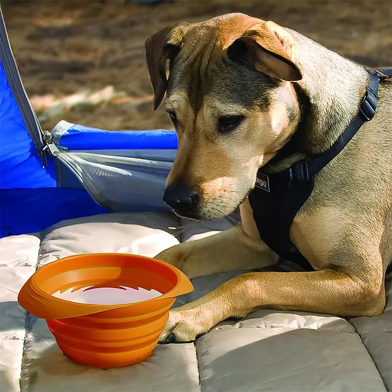 Kurgo Collaps A Bowl