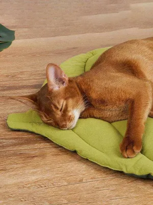 Leaf Shaped Pet Cushion Mat