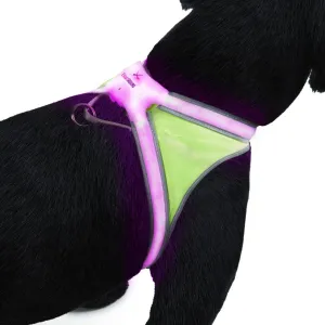 LightHound Illuminated Safety Harness