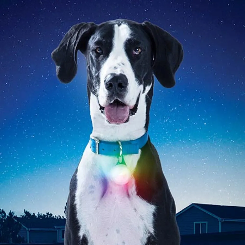 Nite Ize SpotLit XL Rechargeable Collar Light - Disc-O Select