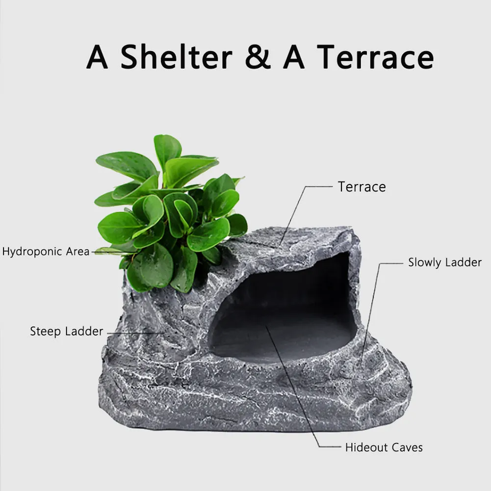 OMEM Reptile Box Shelter Hideout Caves Humidification Turtle Terrace Climbing Ladder Landscaping Habitat Decorative Resin Rocks (Not Including Moss)