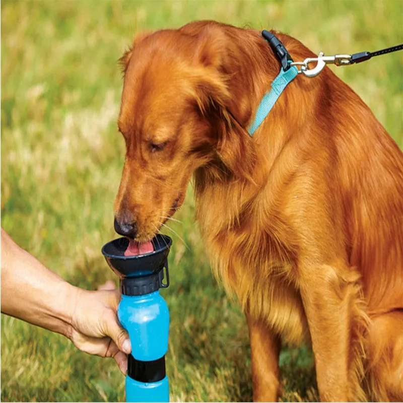 Portable dog water fountain outdoor pet kettle