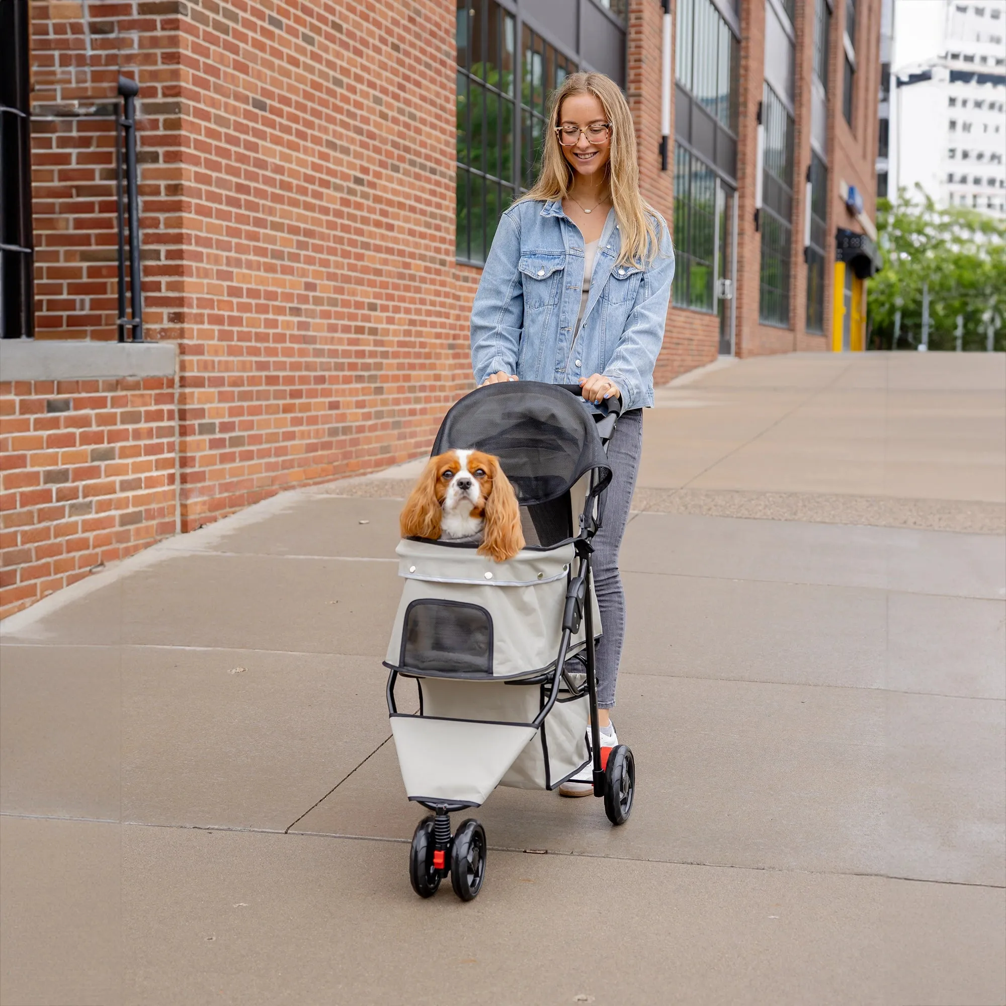 Portable Pup Pet Stroller