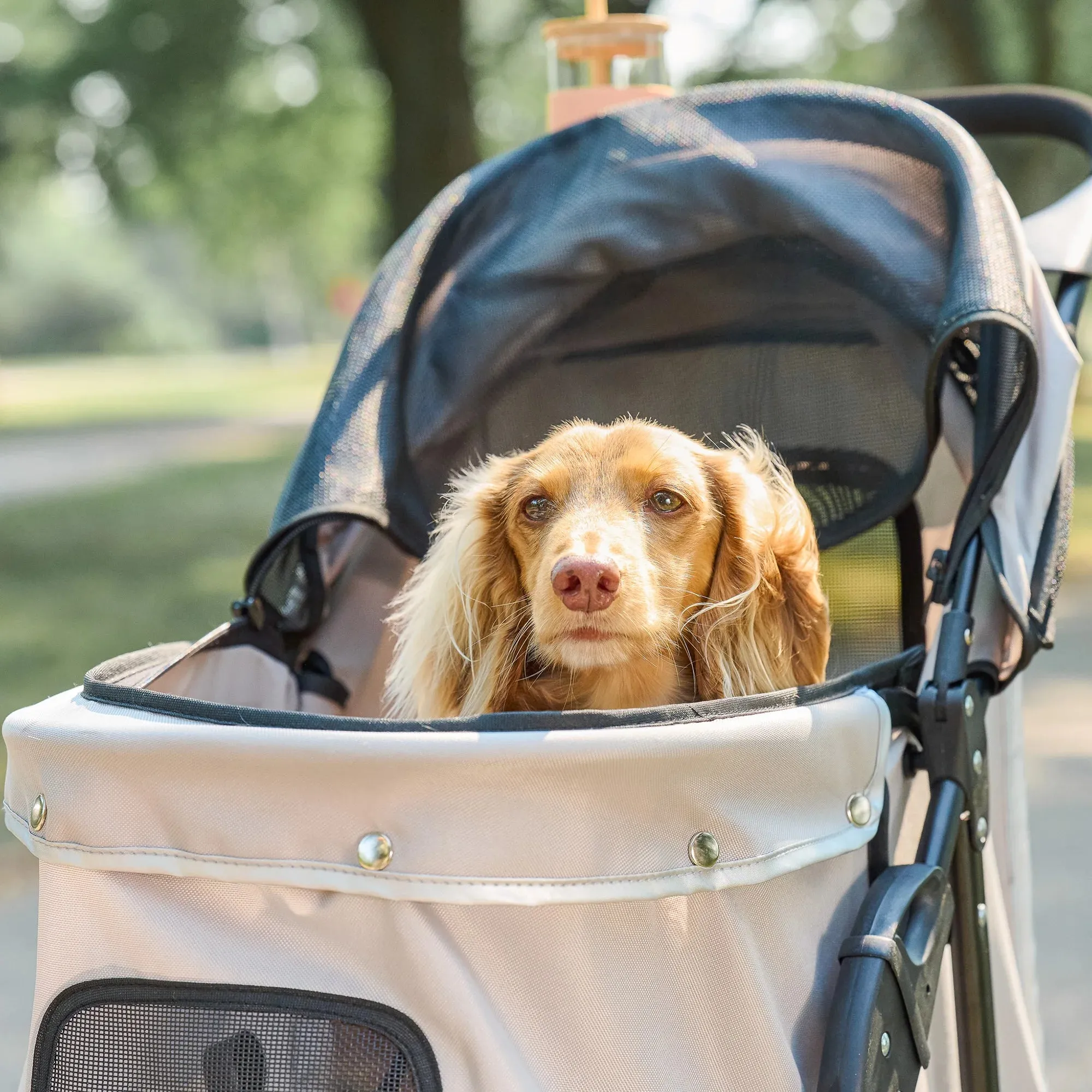 Portable Pup Pet Stroller