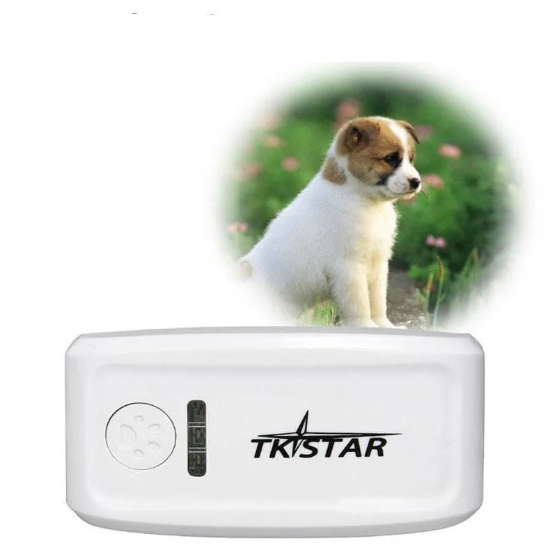 Real Time Locator Chip for Pets