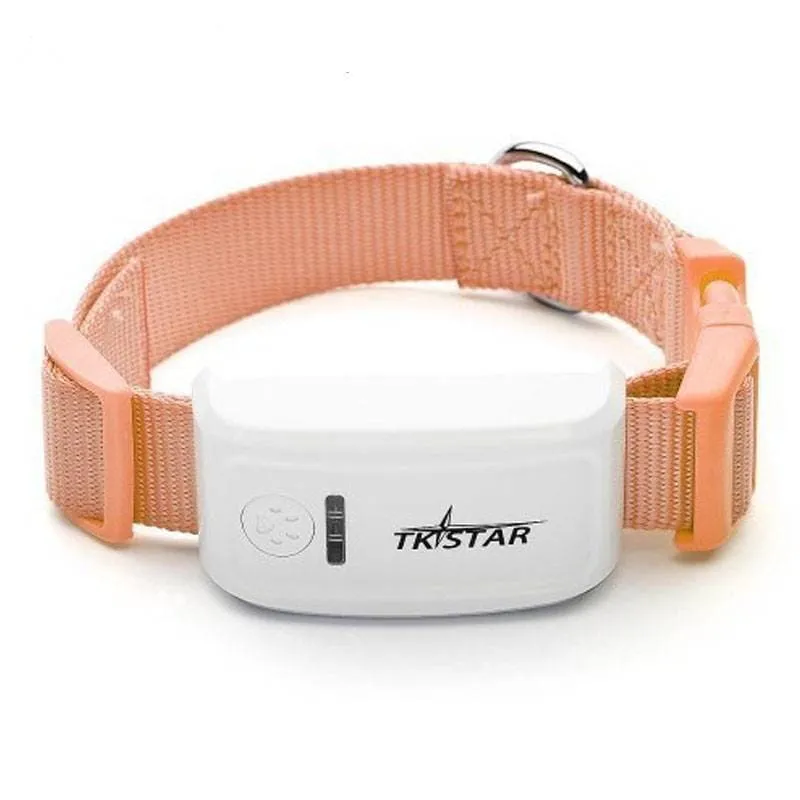 Real Time Locator Chip for Pets