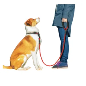 Reflective Nylon Large Pet Training Leash