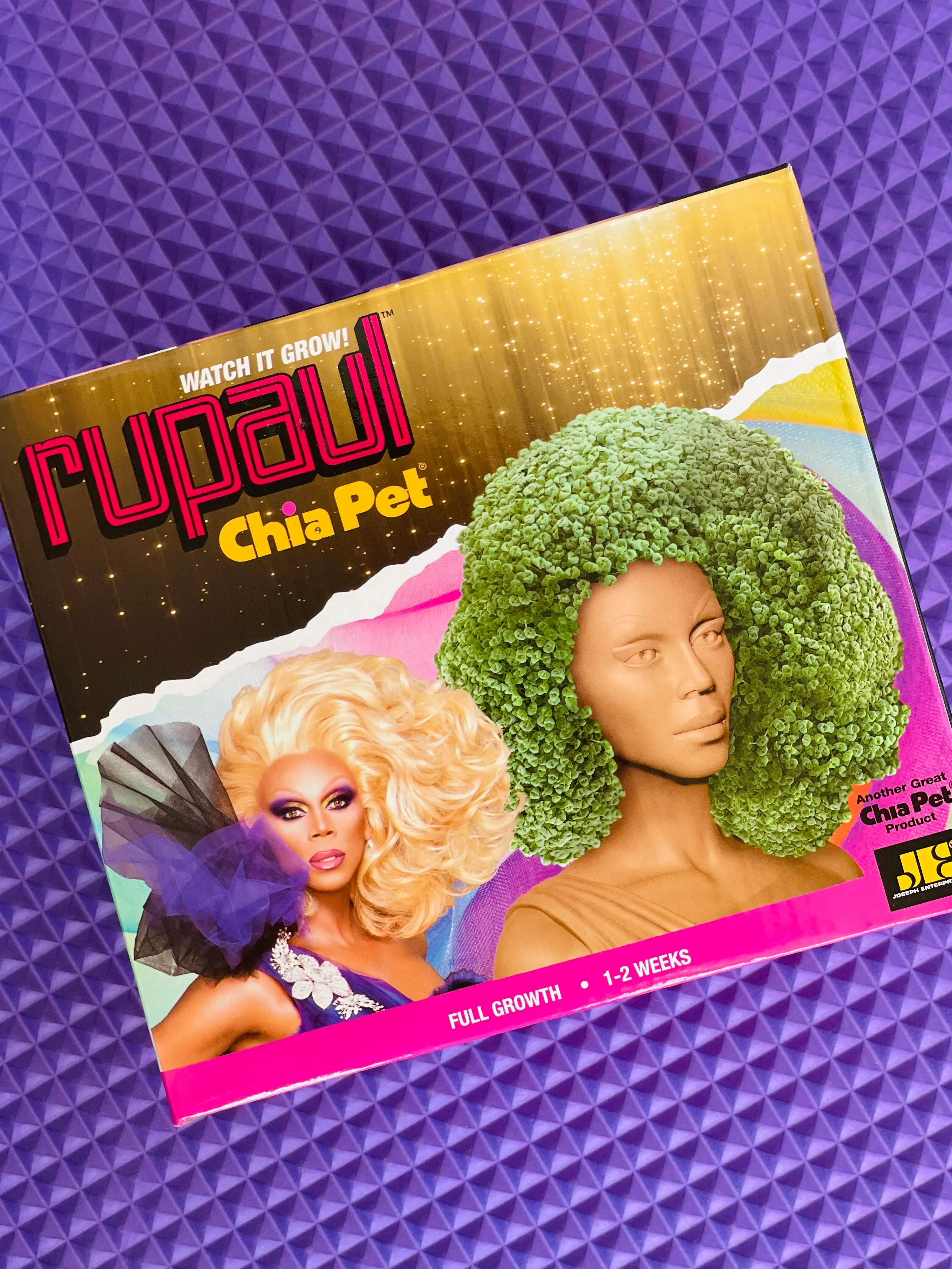 RUPAUL CHIA PET