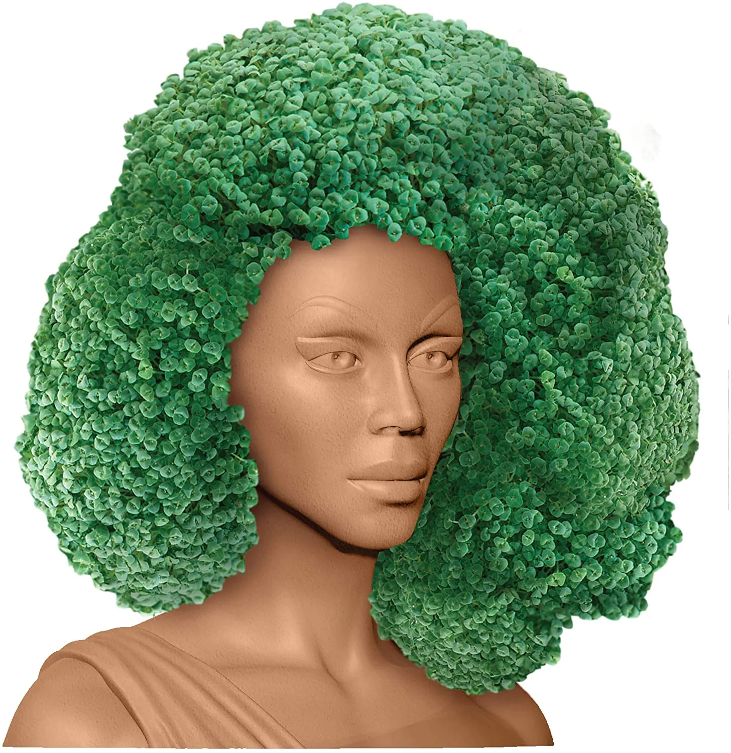 RUPAUL CHIA PET