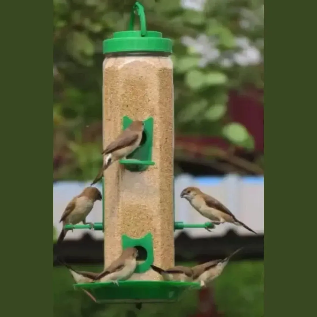 TweetTreate™️ Bird feeder