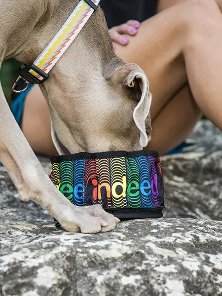 Zippered Foldable Travel Dog Bowls